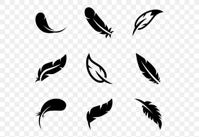 Bird Parrot Feather Wing, PNG, 600x564px, Bird, Beak, Black, Black And White, Drawing Download Free