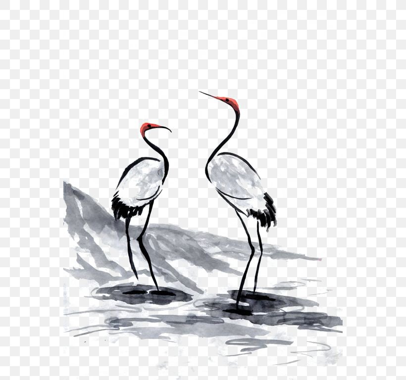 Crane Water Bird Beak Wader, PNG, 564x768px, Crane, Art, Beak, Bird, Black And White Download Free