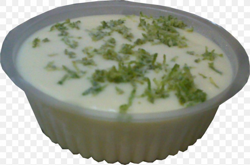 Leek Soup Raita Vegetarian Cuisine Blue Cheese Dressing Dipping Sauce, PNG, 1432x947px, Leek Soup, Blue Cheese Dressing, Condiment, Cuisine, Dip Download Free