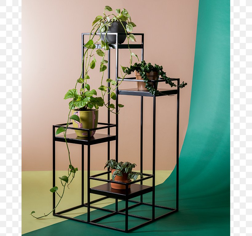 Shelf Houseplant Flowerpot Metal, PNG, 778x769px, Shelf, Architecture, Building, Floral Design, Floristry Download Free
