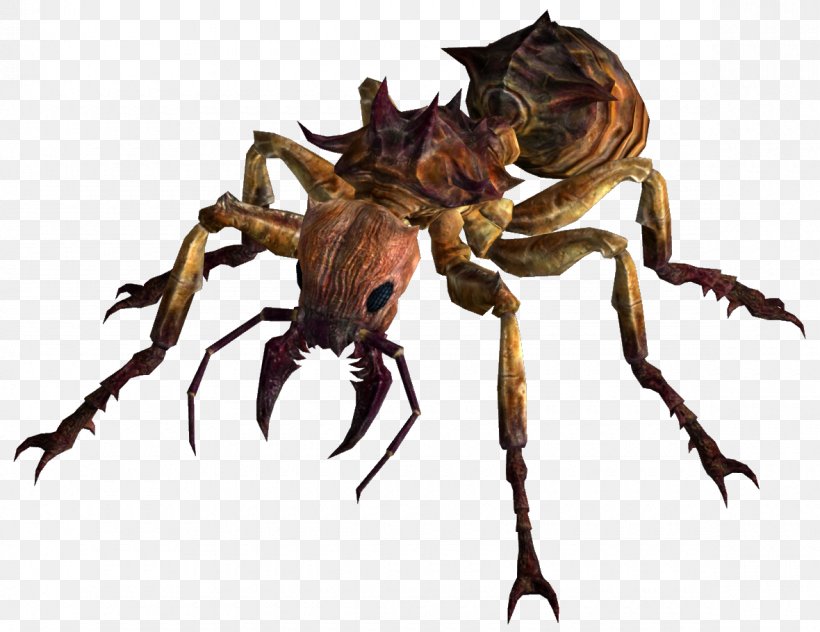 Fallout: New Vegas Fire Ant Insect Pogonomyrmex, PNG, 1180x910px, Fallout New Vegas, Animal Source Foods, Ant, Ant Colony, Antkeeping Download Free