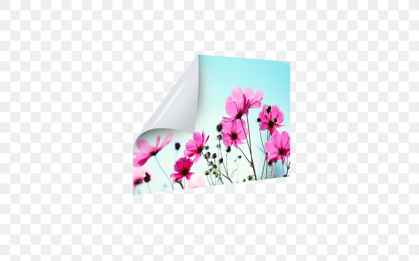 Photography Image Royalty-free Plakat Naukowy Blomstereng, PNG, 512x512px, Photography, Blomstereng, Blume, Flora, Floral Design Download Free