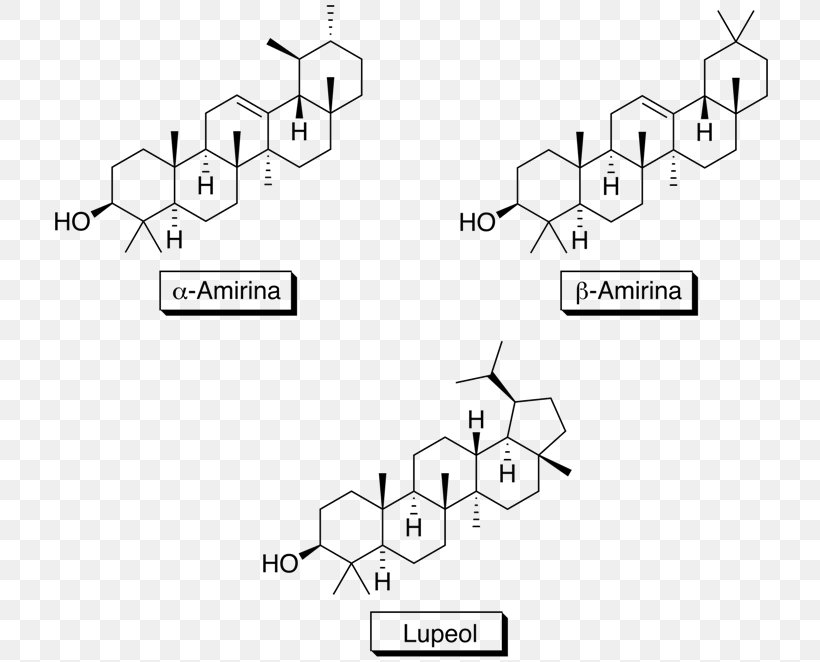 Saponina Triterpénica Triterpene Amyrin Molecule, PNG, 724x662px, Watercolor, Cartoon, Flower, Frame, Heart Download Free