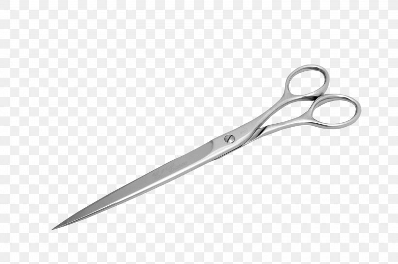 Scissors Penoblo.de Helmet Hair-cutting Shears Centimeter, PNG, 3000x1992px, Scissors, Centimeter, Gold, Gold Plating, Hair Download Free