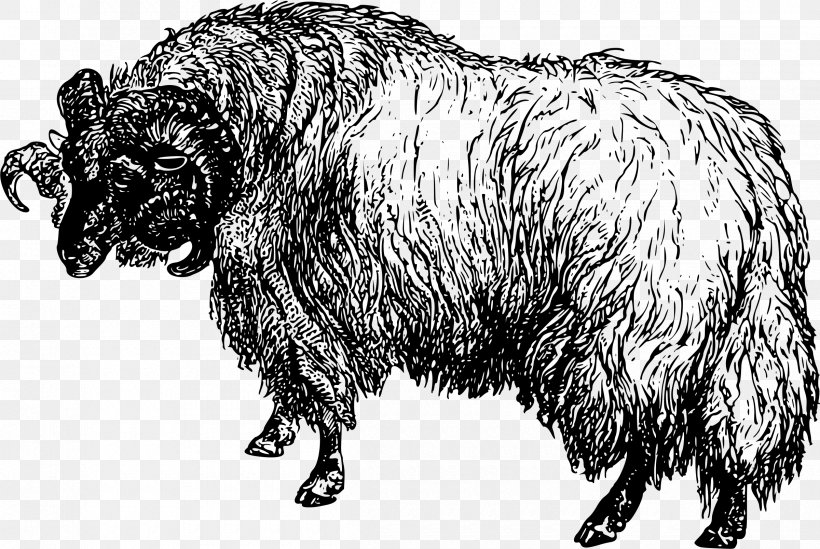 Cattle Goat Merino Fat-tailed Sheep Clip Art, PNG, 2400x1607px, Cattle, Black And White, Caprinae, Cattle Like Mammal, Cow Goat Family Download Free