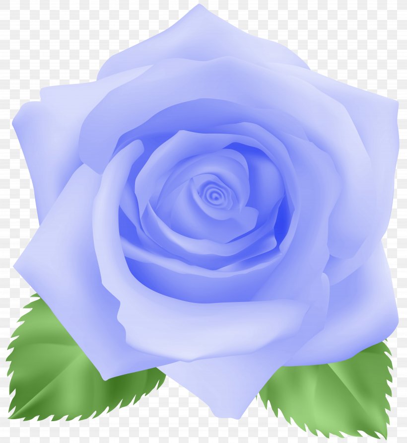 Blue Rose Cabbage Rose Garden Roses Floribunda Clip Art, PNG, 7353x8000px, Blue Rose, Blue, Cabbage Rose, Cobalt Blue, Cut Flowers Download Free