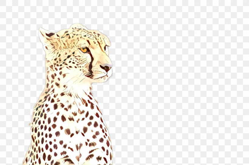 Cheetah Wildlife Head Animal Figure Small To Medium-sized Cats, PNG, 2452x1632px, Cheetah, Animal Figure, Head, Small To Mediumsized Cats, Snout Download Free