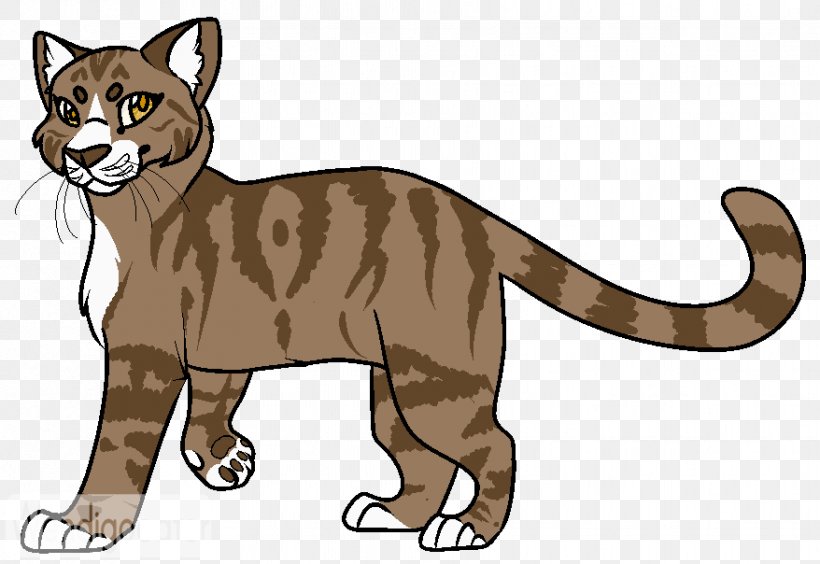 Cougar Whiskers Tiger Cat Lion, PNG, 878x604px, Cougar, Animal, Animal Figure, Big Cats, Carnivoran Download Free