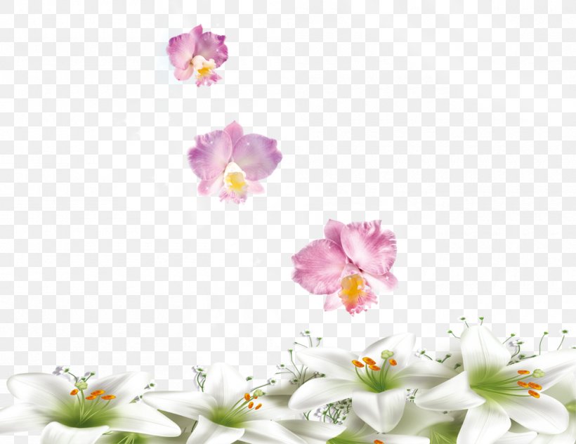 Floral Design Flower Lilium, PNG, 1000x771px, Floral Design, Artificial Flower, Blossom, Designer, Flora Download Free