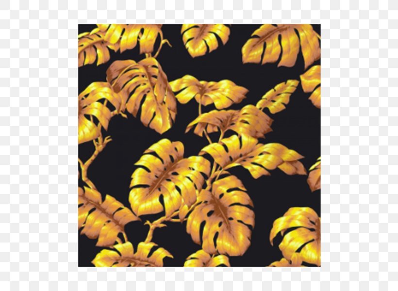 Swiss Cheese Plant Honey Bee Couch Yellow Wallpaper, PNG, 600x600px, Swiss Cheese Plant, Bee, Color, Couch, Furniture Download Free