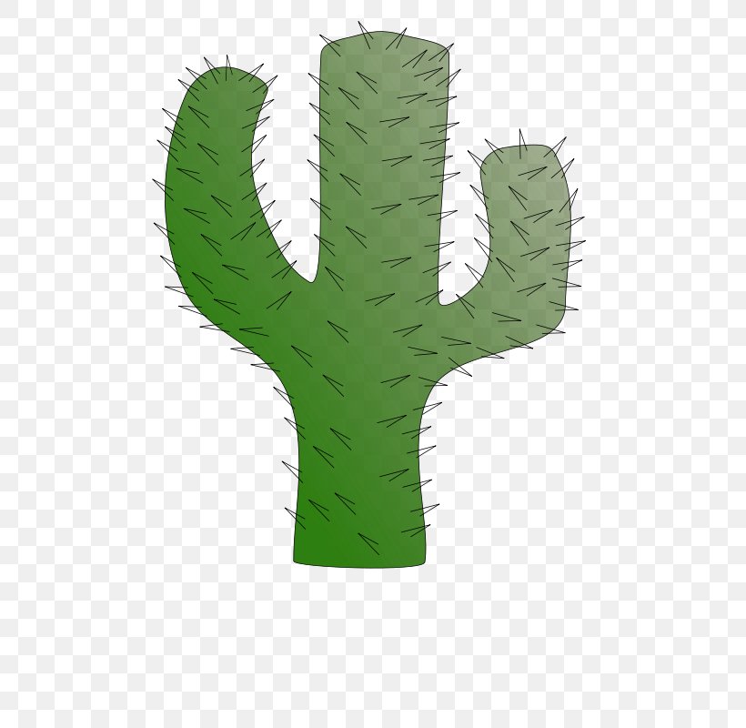 Cactaceae Clip Art, PNG, 566x800px, Cactaceae, Cactus, Caryophyllales, Eastern Prickly Pear, Flowering Plant Download Free