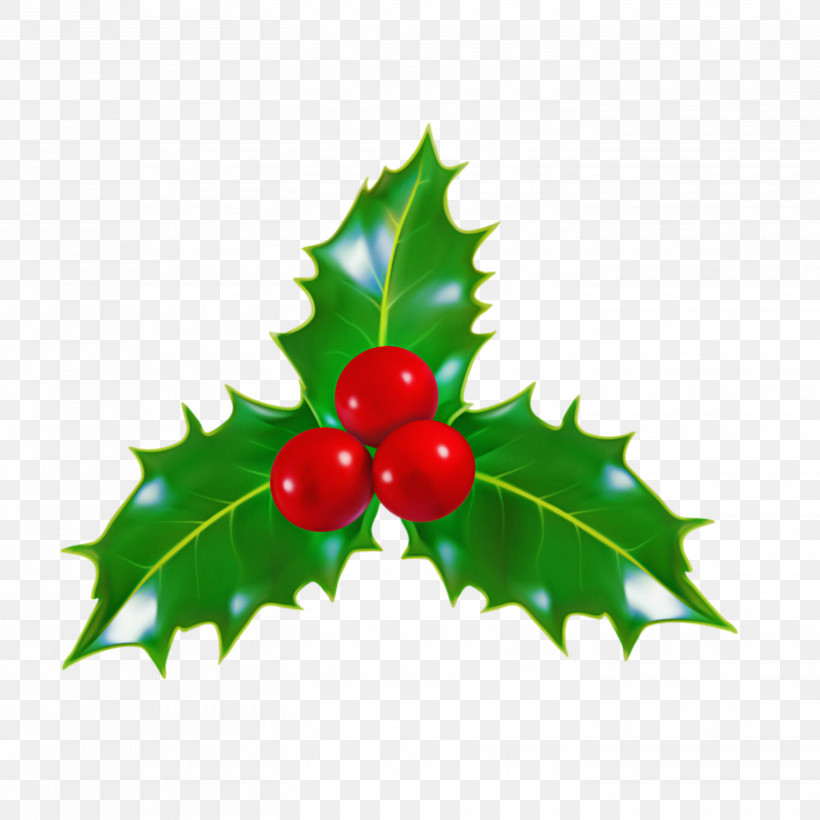 Christmas Decoration, PNG, 2896x2896px, Holly, American Holly, Berry, Christmas Decoration, Currant Download Free