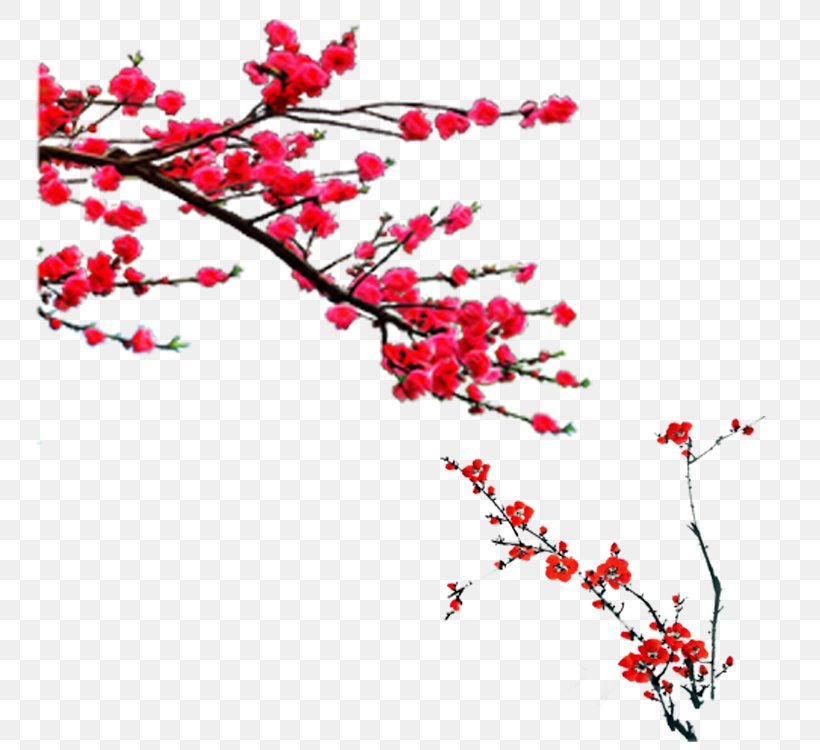 Plum Blossom Chimonanthus Praecox, PNG, 750x750px, Plum Blossom, Blossom, Branch, Cherry Blossom, Chimonanthus Praecox Download Free