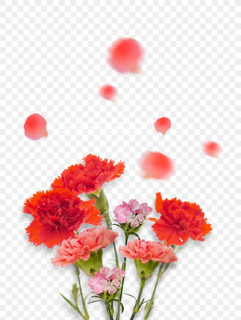 Carnation Image Red, PNG, 900x1198px, Carnation, Artificial Flower, Botany, Bouquet, Coquelicot Download Free