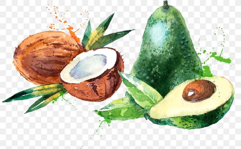 Coconut Water Coconut Milk Watercolor Painting, PNG, 807x510px, Coconut Water, Art, Avocado, Canvas, Coconut Download Free
