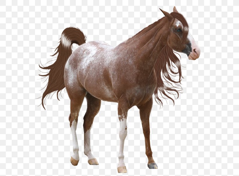 Mane American Paint Horse Mustang Spotted Saddle Horse Stallion, PNG, 596x604px, Mane, American Paint Horse, Animal Figure, Bridle, Colt Download Free
