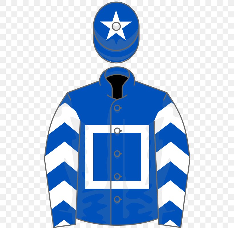 Qualify Horse C. L. & M. F. Weld Park Stakes Spain Moyglare Stud Stakes, PNG, 512x799px, Qualify, Area, Blue, Brand, Colin Tizzard Download Free