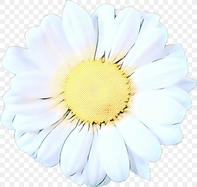 Transvaal Daisy Cut Flowers, PNG, 1024x976px, Transvaal Daisy, Aster, Asterales, Camomile, Chamaemelum Nobile Download Free