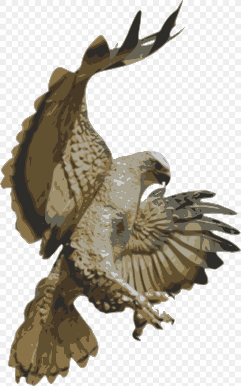 Bird Of Prey Hawk Clip Art, PNG, 1503x2400px, Bird, Accipitriformes, Beak, Bird Of Prey, Buzzard Download Free