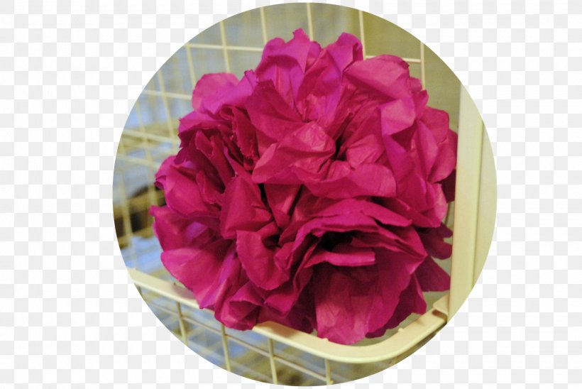 Cabbage Rose Garden Roses Carnation Cut Flowers Peony, PNG, 1600x1071px, Cabbage Rose, Carnation, Cut Flowers, Flower, Flowering Plant Download Free