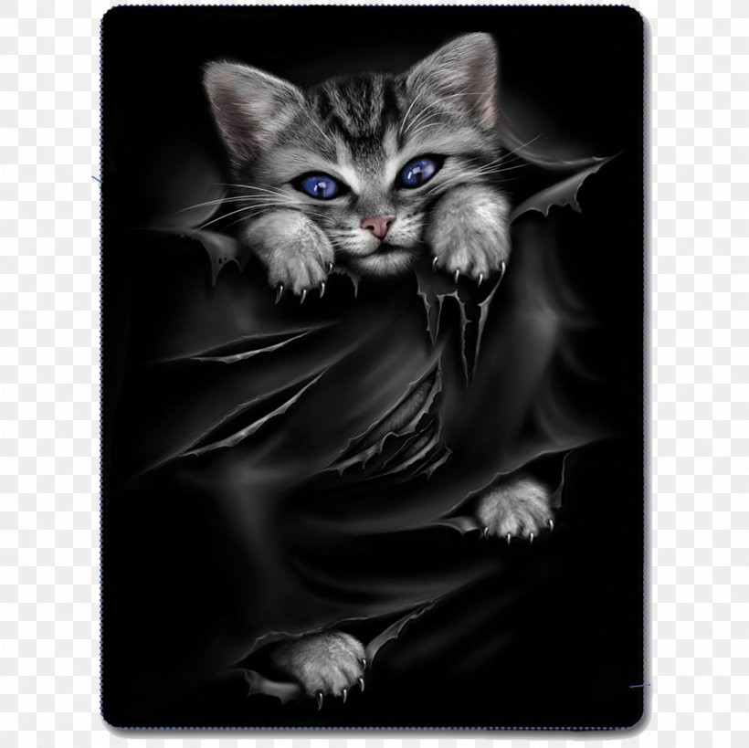Cat Gothic Fashion Kitten T-shirt Clothing, PNG, 2362x2362px, Cat, Bag, Black Cat, Blanket, Carnivoran Download Free