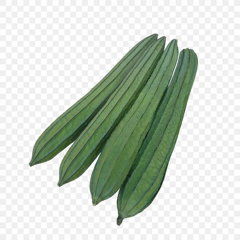 Luffa Cucumber Fruit Seed F1 Hybrid, PNG, 1200x1200px, Luffa, Commodity, Cucumber, Cucumber Gourd And Melon Family, Cylinder Download Free