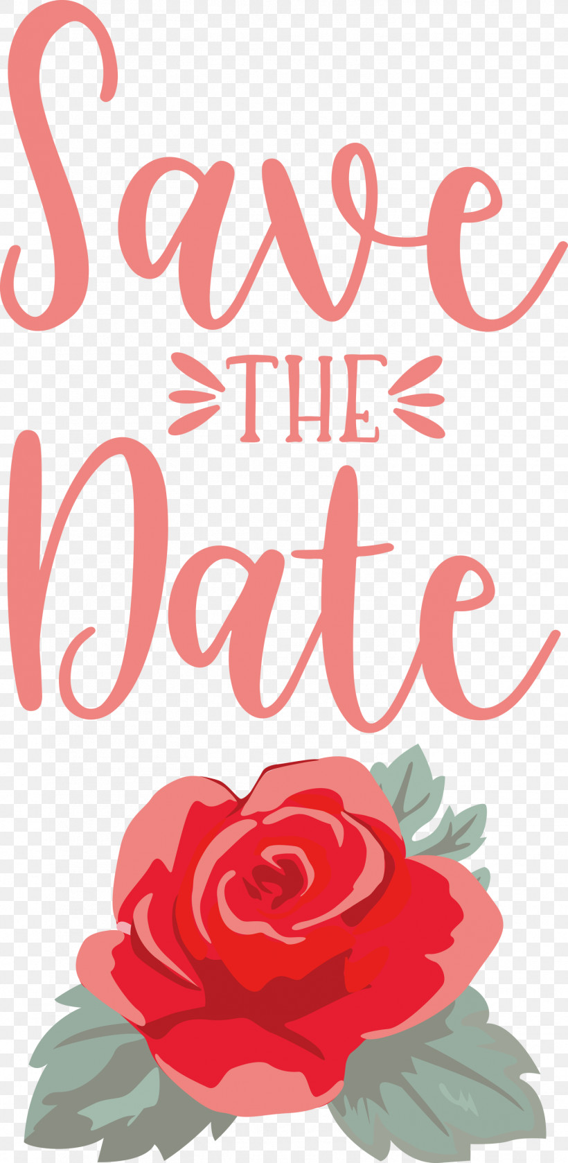 Save The Date Wedding, PNG, 1466x3000px, Save The Date, Cut Flowers, Floral Design, Flower, Garden Download Free
