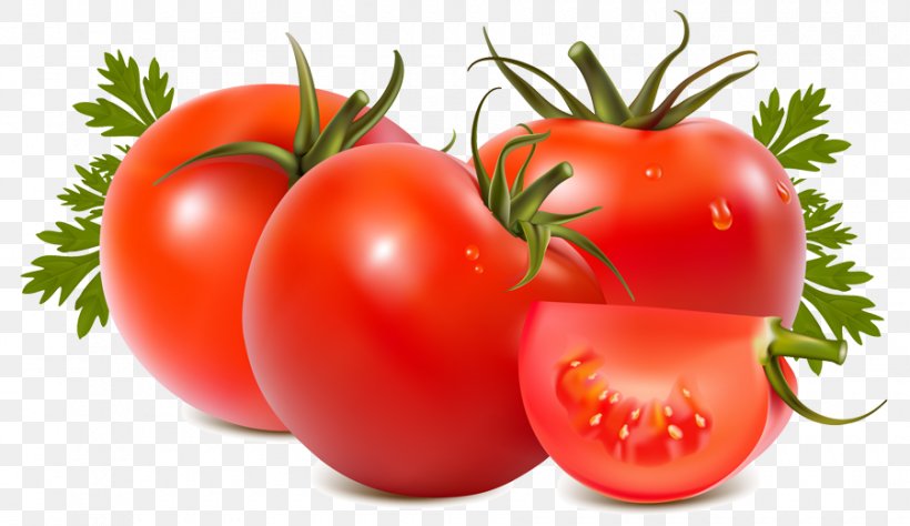 Tomato Soup Tomato Juice Vegetable Tomato Sauce, PNG, 900x521px, Tomato Soup, Bell Pepper, Bush Tomato, Diet Food, Food Download Free