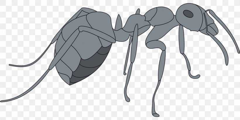 Ant Drawing Insect Clip Art, PNG, 960x480px, Ant, Arthropod, Artwork, Black And White, Drawing Download Free