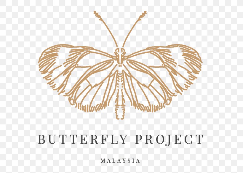 Butterfly Malaysian General Election, 2018 Project Food, PNG, 640x584px, Butterfly, Arthropod, Birthday, Brush Footed Butterfly, Butterfly Effect Download Free