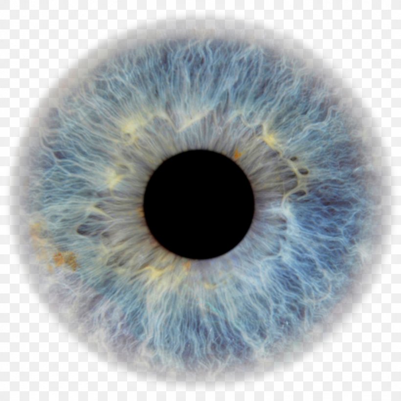 Transparent Eyeball Pupil Eye Color Human Eye, PNG, 1024x1024px, Watercolor, Cartoon, Flower, Frame, Heart Download Free