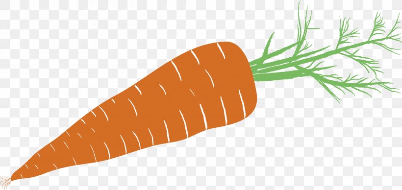 Baby Carrot Drawing Pictogram Vegetable, PNG, 2819x1337px, Baby Carrot, Carrot, Daucus Carota, Drawing, Food Download Free