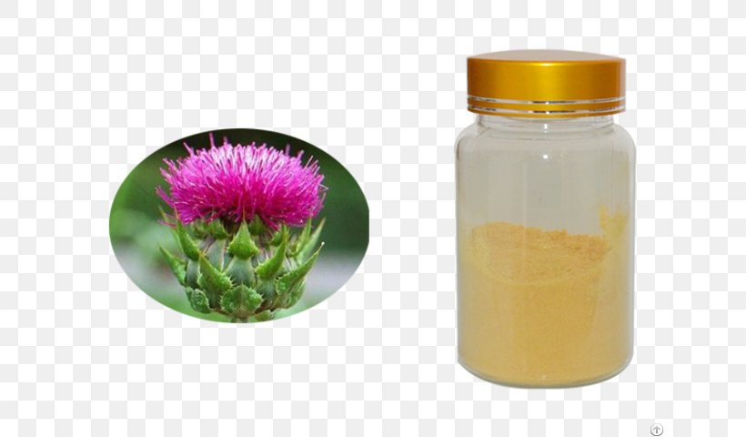 Glass Bottle Flower Milk Thistle, PNG, 640x480px, Glass Bottle, Bottle, Flower, Glass, Milk Thistle Download Free