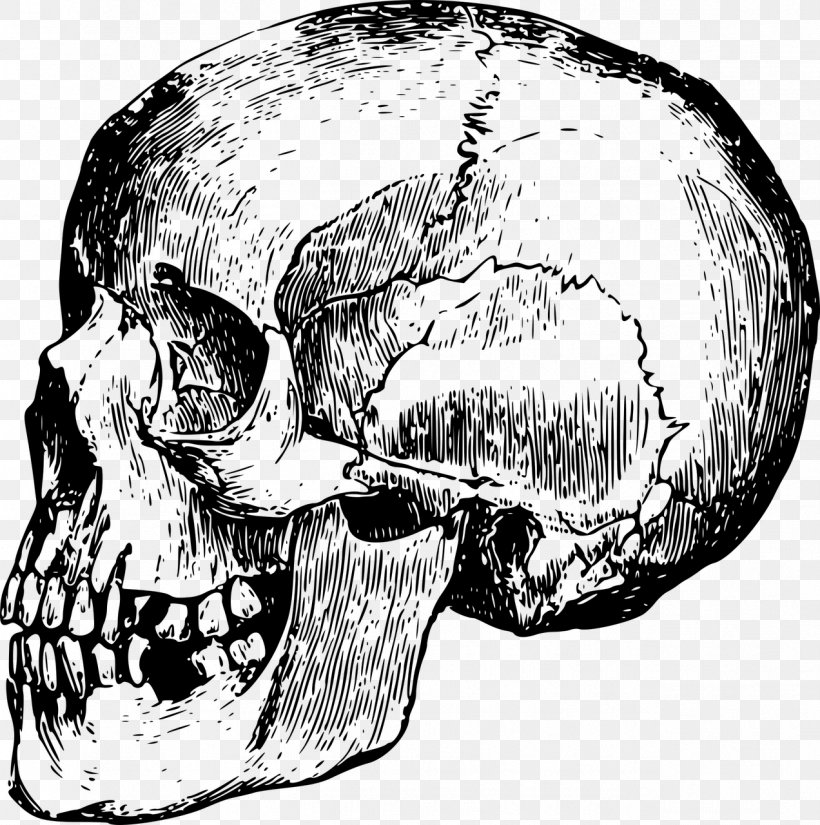 Skull Bone, PNG, 1272x1280px, Skull, Automotive Design, Black And White, Bone, Bone Carving Download Free