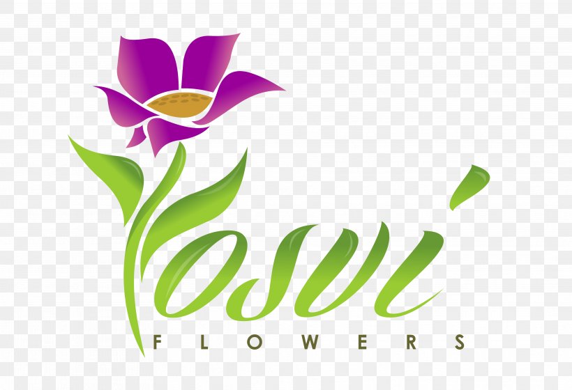 Yosvi Flowers & Gift Shop Orlando Yosvi Flowers & Gift Shop Orlando Petal, PNG, 3739x2556px, Orlando, Artwork, Bloomnation, Brand, Cut Flowers Download Free