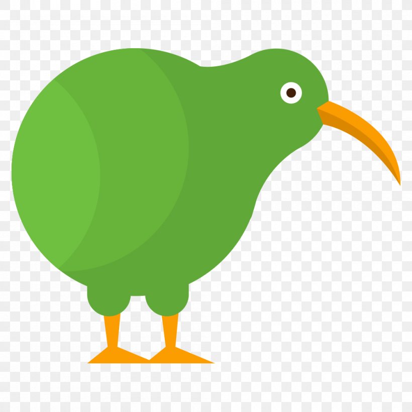 Bird Definition Parrot Species, PNG, 1000x1000px, Bird, Beak, Chicken, Definition, Fauna Download Free