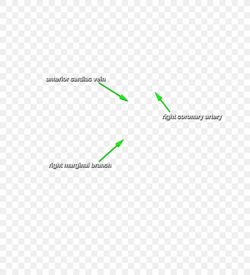 Brand Line Angle, PNG, 726x900px, Brand, Area, Diagram, Text Download Free