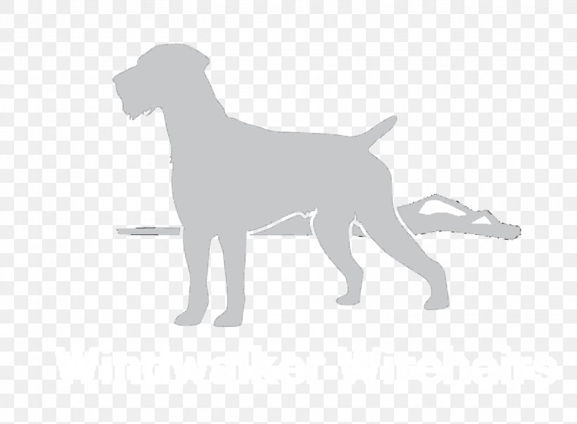 Dog Breed Puppy Sporting Group, PNG, 3322x2443px, Dog Breed, Breed, Carnivoran, Dog, Dog Like Mammal Download Free