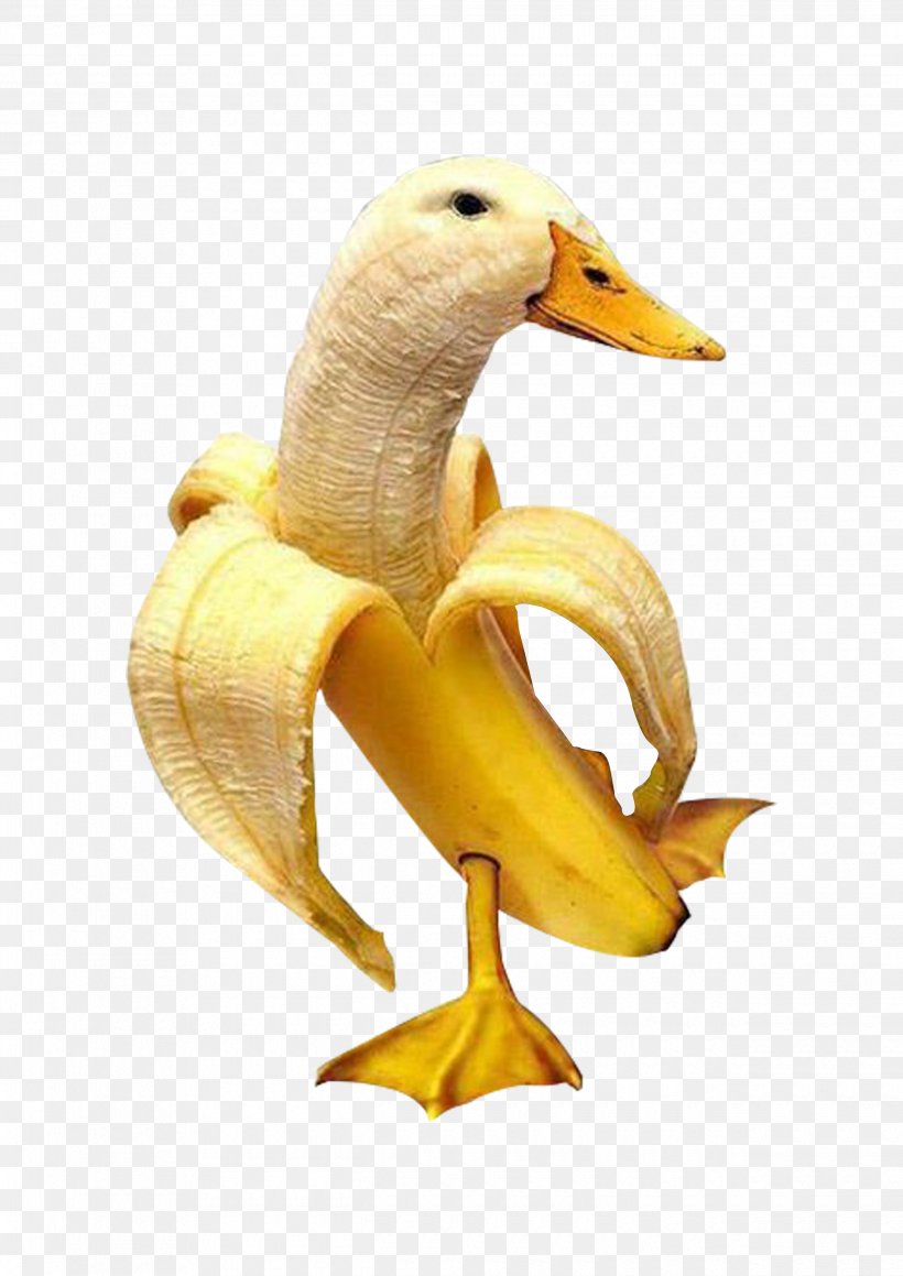 Duck Goose Breakfast Banana Food, PNG, 2480x3508px, Duck, Anatidae, Banana, Beak, Bird Download Free