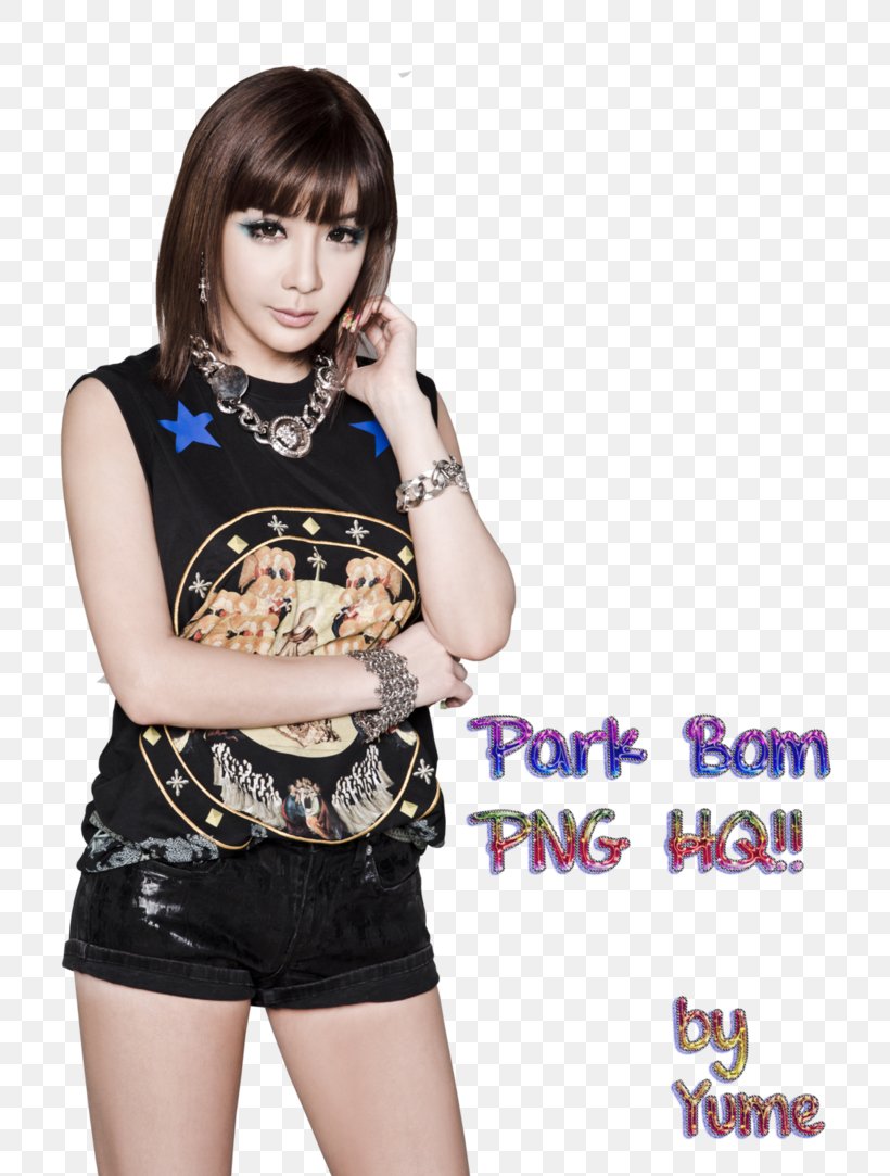 Park Bom South Korea K-pop Star 2NE1, PNG, 737x1083px, Watercolor, Cartoon, Flower, Frame, Heart Download Free