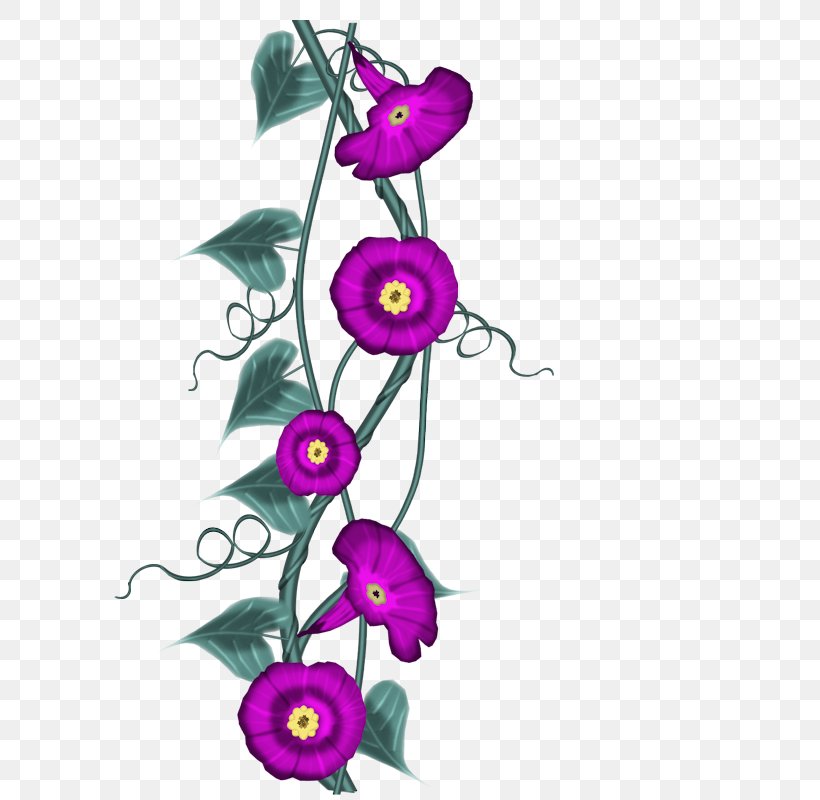 Clip Art Blog Flower Image, PNG, 800x800px, Blog, Botany, Centerblog, Cut Flowers, Flower Download Free