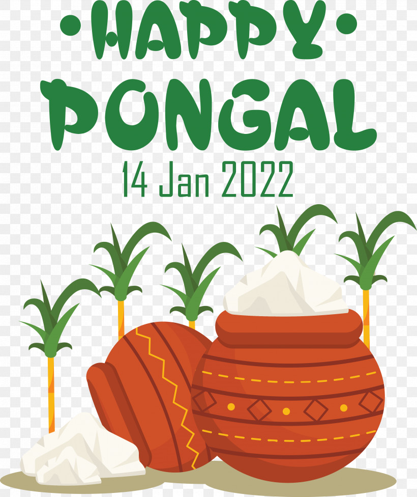 Makar Sankranti, PNG, 3358x3997px, Pongal, Drawing, Festival, Harvest Festival, Holiday Download Free