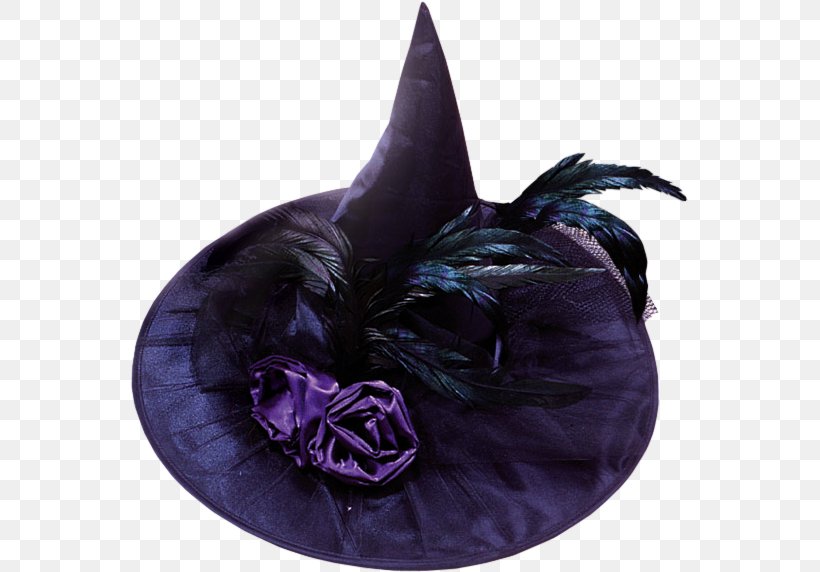 Witch Hat Purple Feather Costume, PNG, 559x572px, Witch Hat, Black Rose, Clothing Accessories, Costume, Feather Download Free