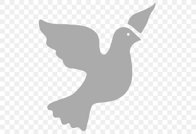 Columbidae Doves As Symbols Peace Symbols Clip Art, PNG, 511x559px, Columbidae, Beak, Bird, Black And White, Christian Symbolism Download Free