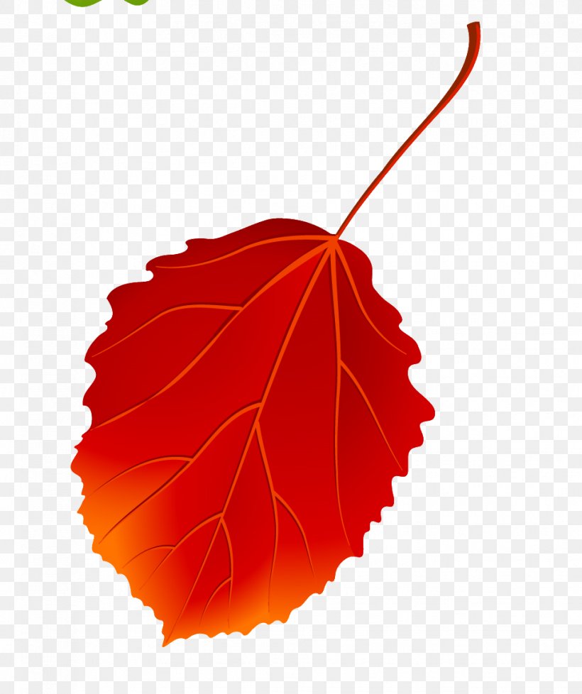 European Aspen Autumn Leaves Maple Leaf, PNG, 966x1153px, European Aspen, Autumn Leaves, Cottonwood, Golden Autumn, Leaf Download Free