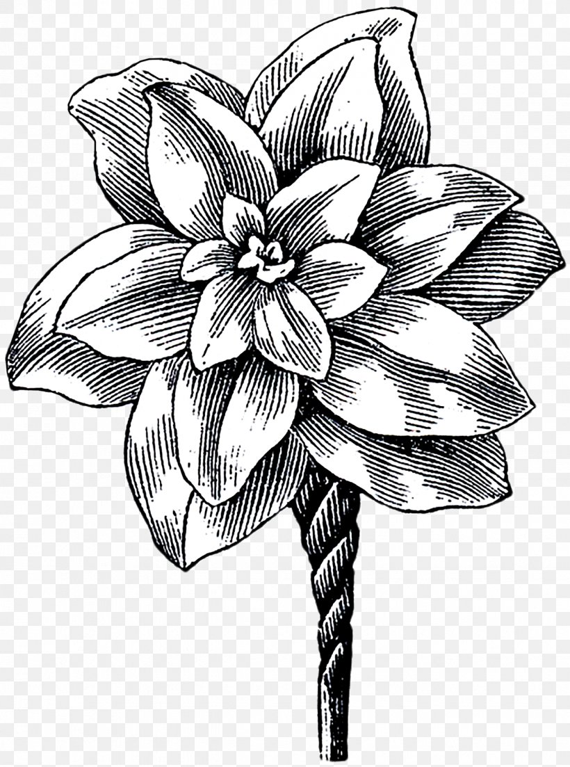 Floral Design Cut Flowers Sketch Monochrome, PNG, 1337x1800px, Watercolor, Cartoon, Flower, Frame, Heart Download Free