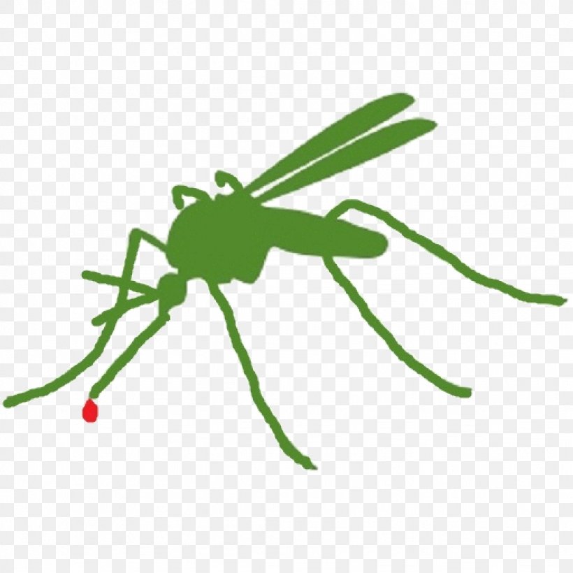 Mosquito Control Insect Pest Citronella Oil, PNG, 1024x1024px, Mosquito, Animal, Arthropod, Chemical Substance, Citronella Oil Download Free