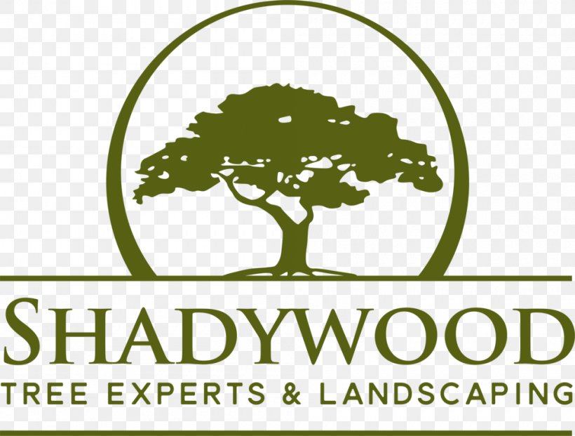 Shadywood Tree Experts Layton Builders, Inc. Industry Dogwood Meadows, PNG, 1000x758px, Tree, Area, Brand, Grass, Green Download Free