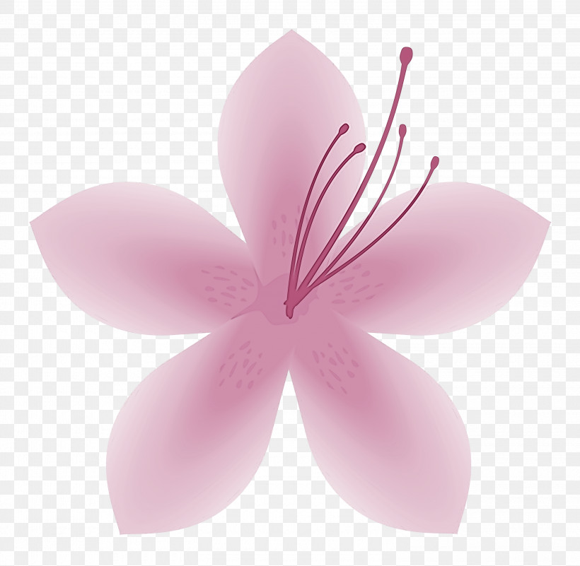 Azalea Spring Flower Azalea Flower, PNG, 3000x2932px, Azalea, Azalea Flower, Flower, Hibiscus, Petal Download Free
