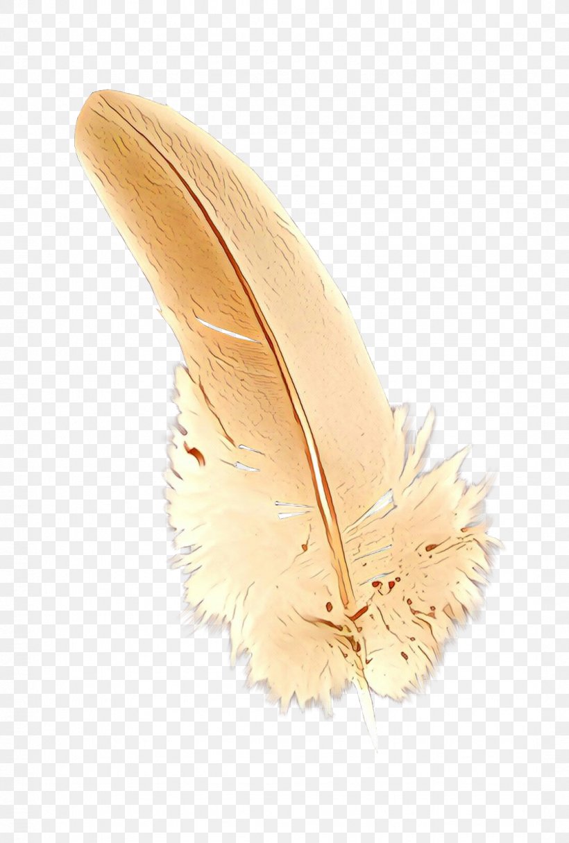 Feather, PNG, 1079x1600px, Cartoon, Beige, Ear, Fashion Accessory, Feather Download Free